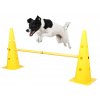 Set agility překážek pro psy, žlutý