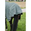 Výběhová deka pro koně EQUITHEME TYREX 600D Recycled zelená