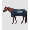 Chladící deka pro koně Waldhausen Health + Care Ice-Layerv