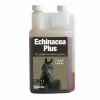 Echinacea plus, tekutá podpora imunitního systému s přírodním vitamínem C
