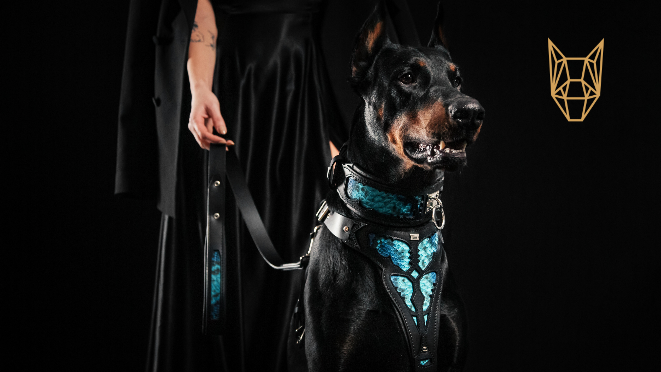 Bestia Collars: drsné i elegantní doplňky pro velká a střední psí plemena