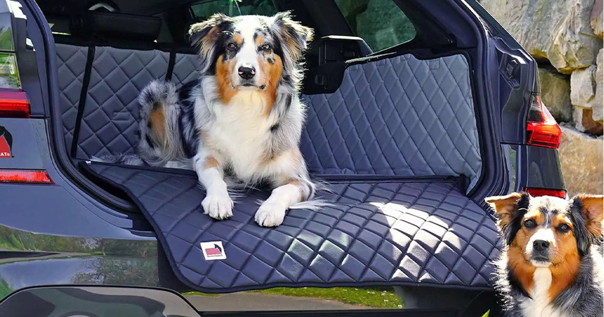 Jak vybrat správnou autosedačku pro psa podle velikosti a typu auta