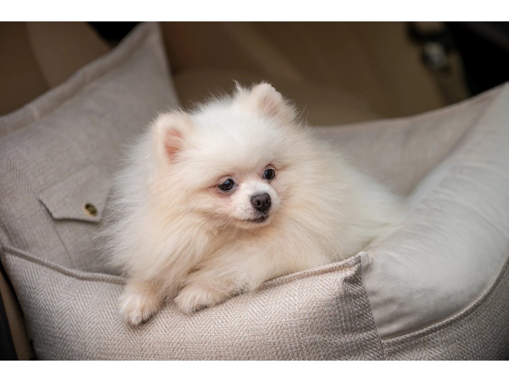 Malý bílý pes v béžové autosedačce pro psy Oh Charlie – bezpečné a pohodlné cestování autem