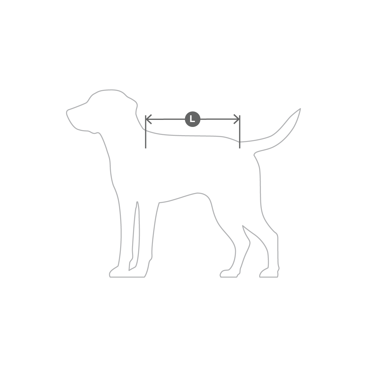 MC_Size_Illustration_Dog_Measurement