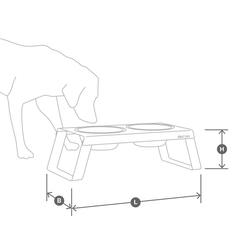 MiaCara_Product_Sizes_Cane_Desco