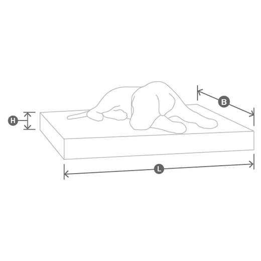 MiaCara_Product_Sizes_D3-02_021d9224-5359-4a6d-aeec-dc6c2faef924