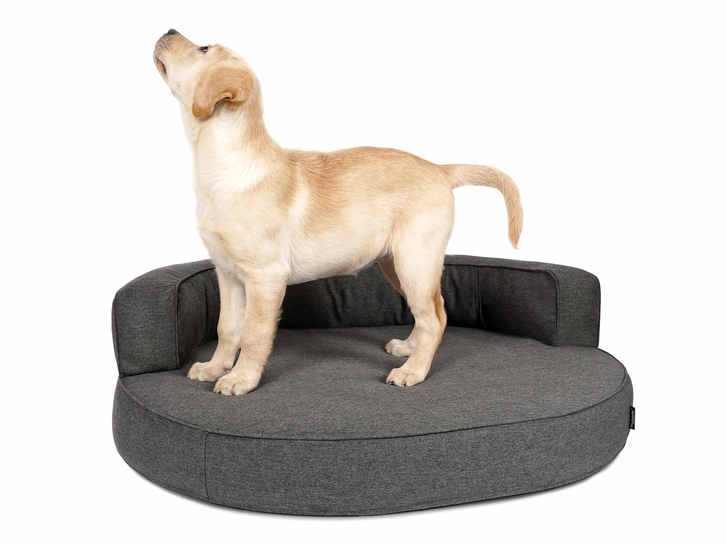 hundebett-atlanta-silver-anthrazit-a01