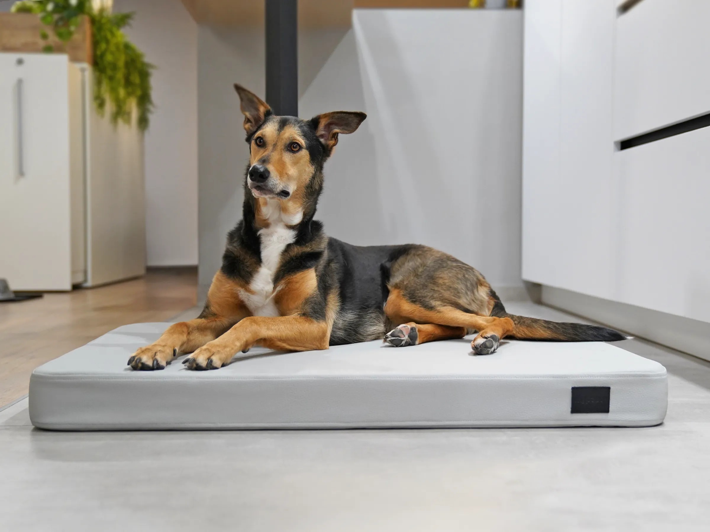 mypado-hundematte-lana-kunstleder-premium-silber-15