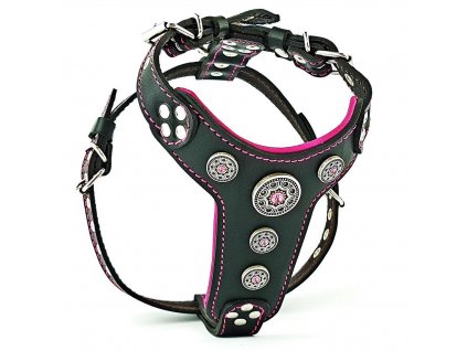 dhgv pink bijou harness web 1595 (Kopírovat)