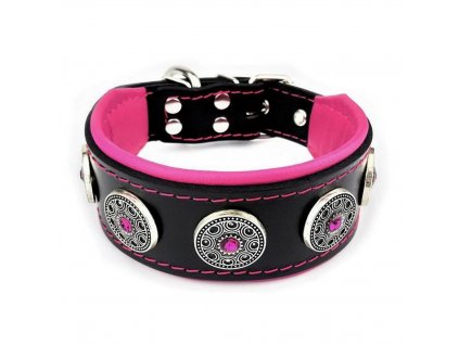 pink 1286 (Kopírovat)