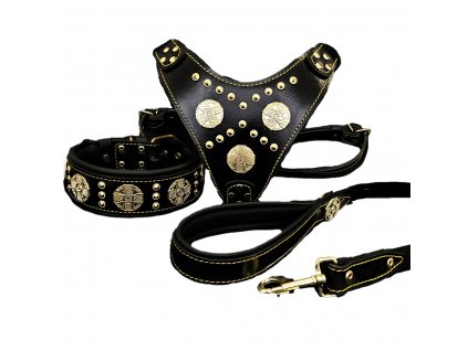 komplet set pro venčení psa