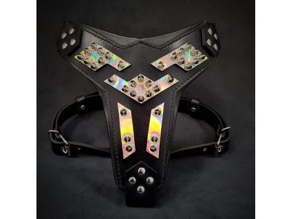 Kožený postroj pro psy Bestia Collar Midas platinum