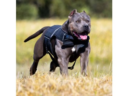 imgi 587 490735424 1252889913507508 6469907190641993444 n