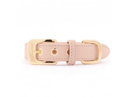 William Walker collar rose front