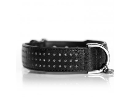 Luxusní obojek pro psy s titanovými třpytkami