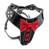 Postroj pro psa Bestia Collar "Bowtie" (Velikost M)