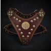 Postroj pro psa Bestia Collar Maximus hnědo zlatý (Velikost L/XL)
