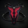 1red dragon 2704