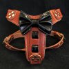Postroj pro psa Bestia Collar "Bowtie" hnědo černý (Velikost M)