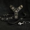 maxmius set upload 1939