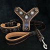 aztec brown 1952 (1)