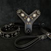 aztec black 1950