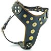 5szb bijou studded dog harness web 1555