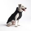Mood ID Wear Dogcoat Noir Filou 17865 lowres adea2511 2083 4d52 a939 3609f8348d28 1500x1500