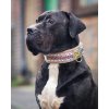 the candy dog collar 582217 1440x1800
