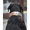 the candy dog collar 112272 1440x1800