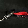 the general leash 410721 1800x1800