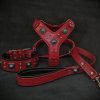 imgi 5 eros big dog set harness collar lead red 870601 1800x1800