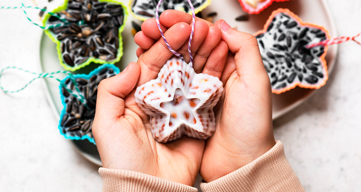 Výroba krmítka pro venkovní ptactvo -Pomáháme přírodě vlastníma rukama