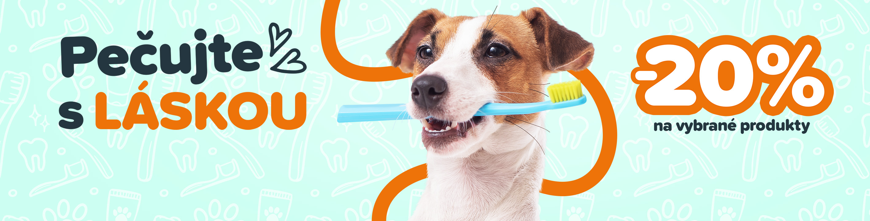 Měsíc péče hlavní