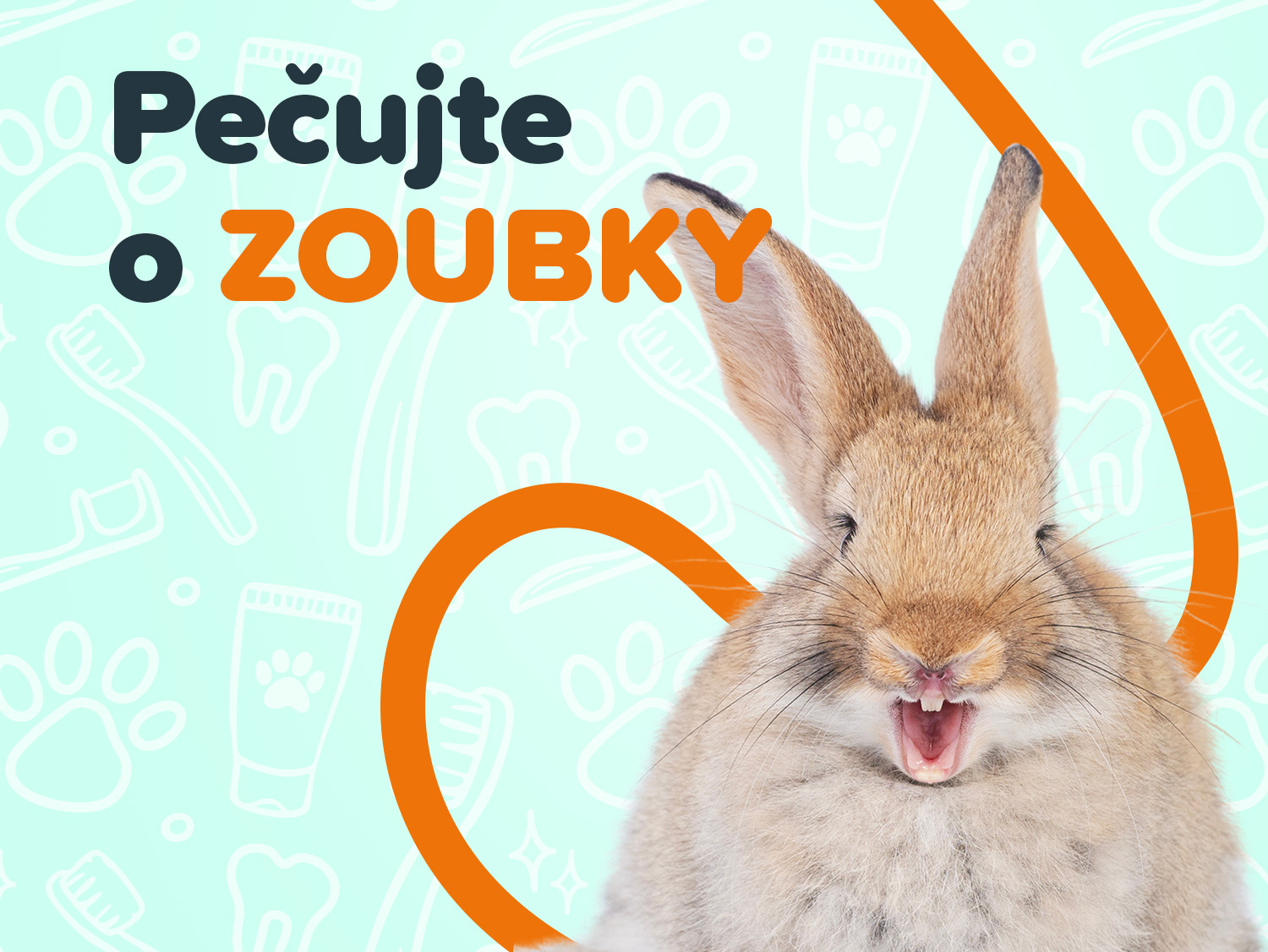 Péče o hlodavce mobil