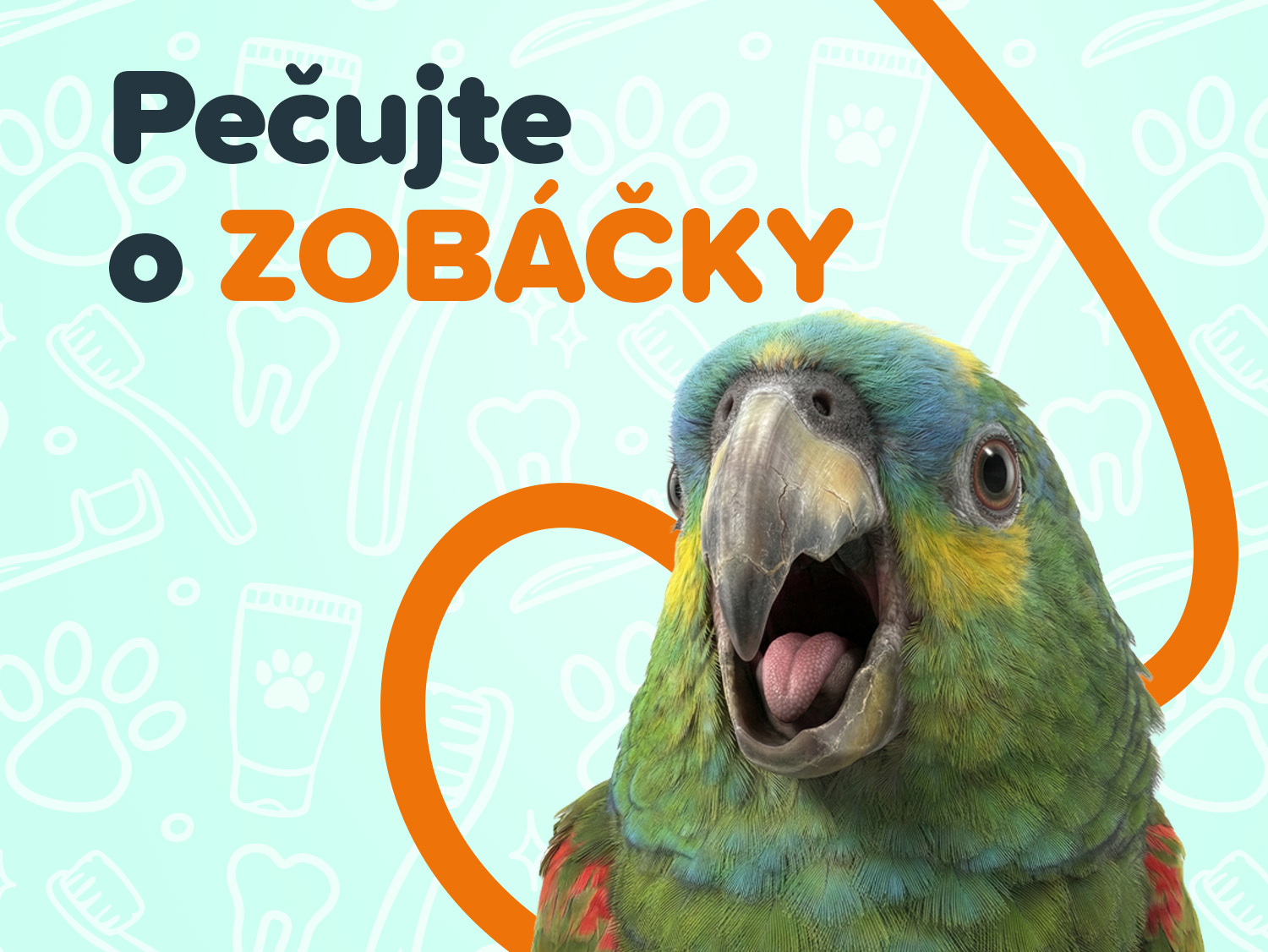 Péče o ptáky mobil