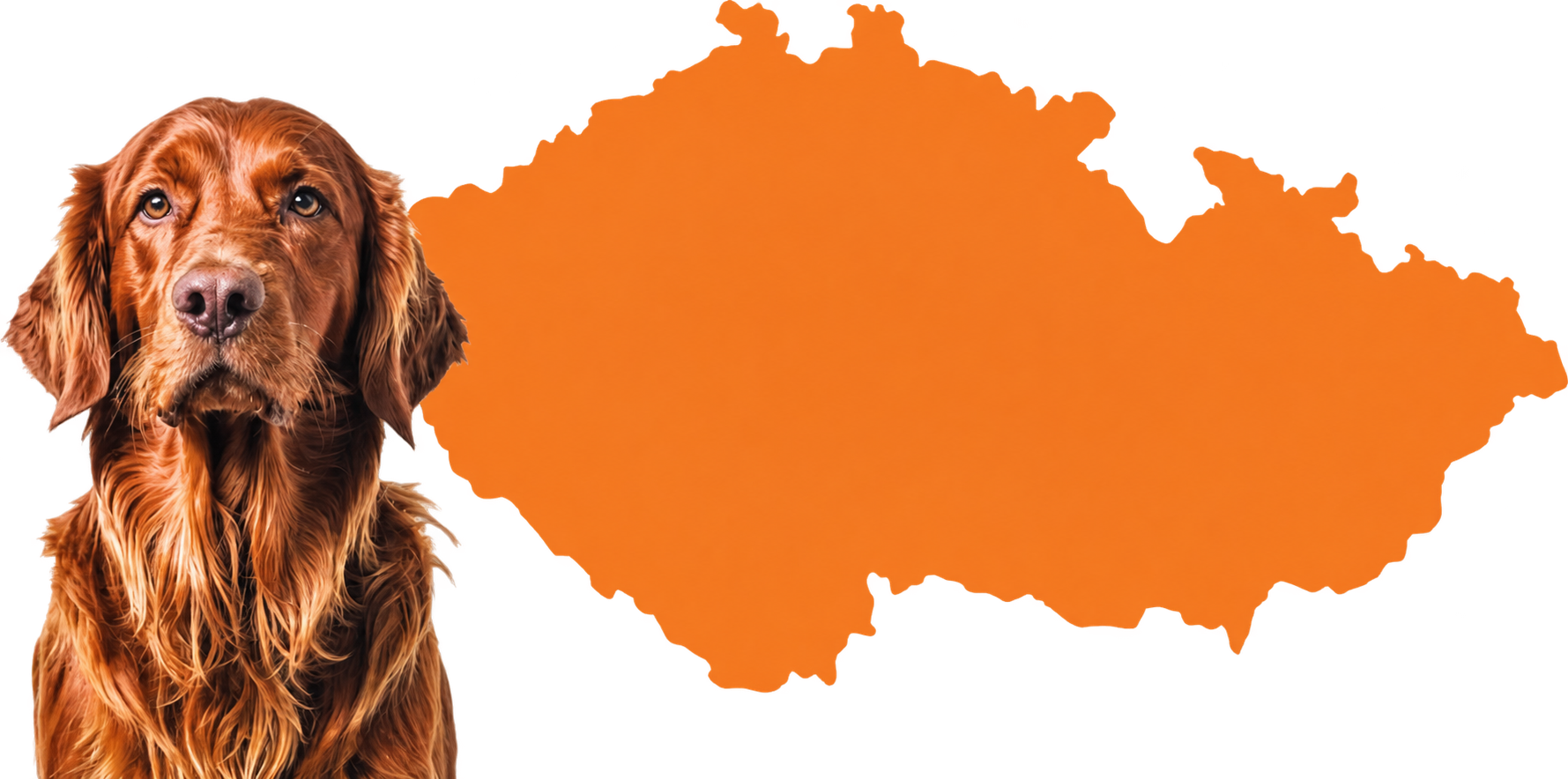 Prodejny PetCenter v České republice