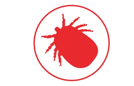 kliste