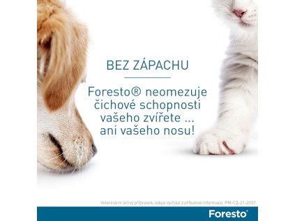 Bayer Foresto obojek pro malé psy do 8kg 38cm