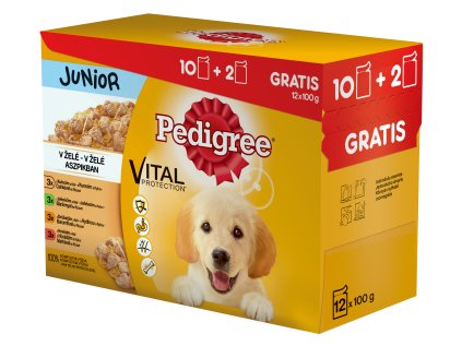 Pedigree kapsička 12 pack JUNIOR v ŽELÉ: Čtyři různé příchutě 1200 g