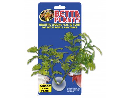Betta Plant – rostlinka na sklo
