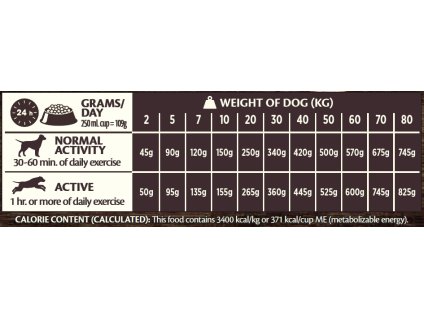 Wellness Core Dog Senior Original 10 kg