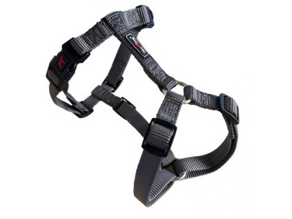 Postroj Gimborn Nylon H 1,5 x 40-55 cm šedivý