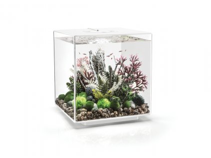 Akvárium BIORB CUBE MCR bílé 60l