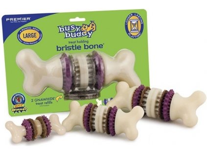 Busy Buddy Bristle Bone Small