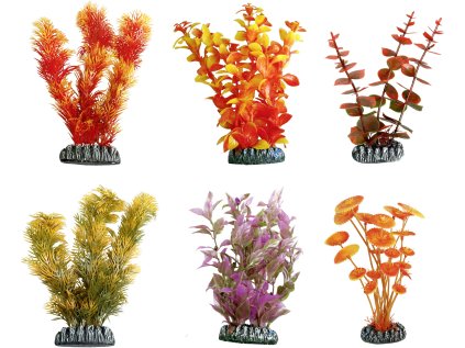 Flamingo akvarijní rostliny mix CUBA XL