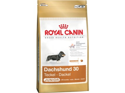 Royal Canin JEZEVČÍK JUNIOR 1,5 kg