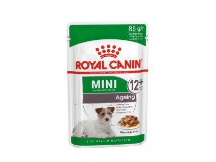 Royal Canin SHN MINI AGEING 12 x 85 g