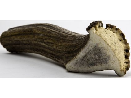 Chew Chew jelení paroh obrovský 180 - 230 g