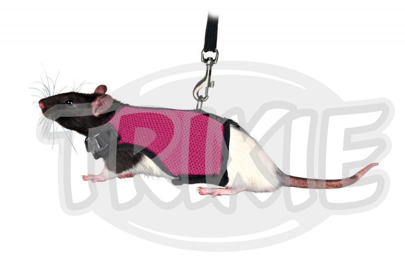 Trixie Postroj VESTA s vodítkem pro potkana